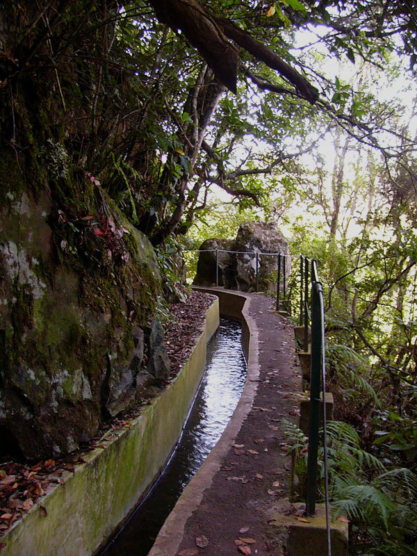 OBRÁZEK : 2806605-madeira-zavlazovani-1-620x0p0.jpeg OBRÁZEK : 2806605-madeira-zavlazovani-1-620x0p0.jpeg